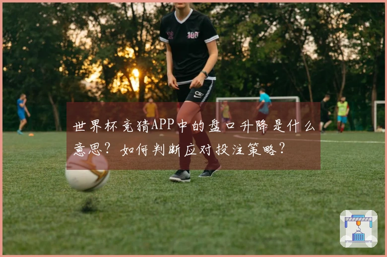 世界杯竞猜APP中的盘口升降是什么意思？如何判断应对投注策略？